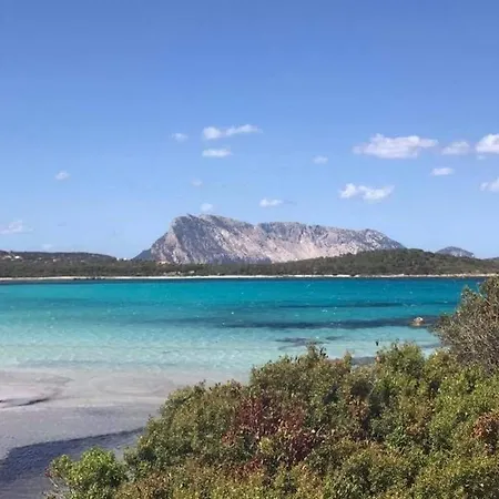Hébergement de vacances Ichnusa *